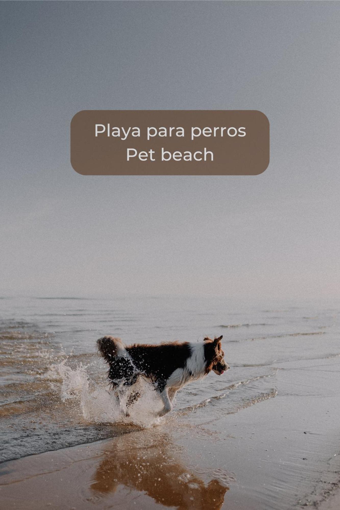 Basa Paradise - Piscina, Terraza, Wifi Y Parking Corralejo Buitenkant foto